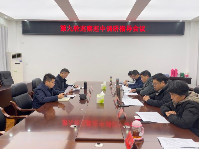 县委巡察工作领导小组开展中期调研